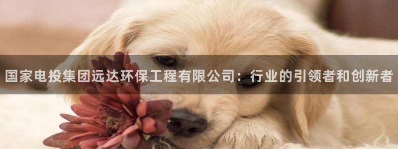 如何进入彩名堂官网更新：国家电投集团