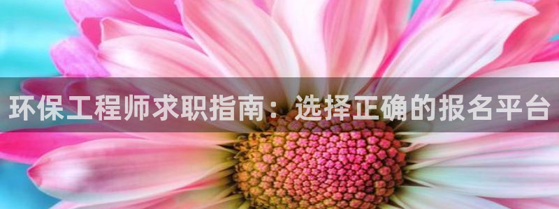 彩名堂为什么用不了了：环保工程师求职