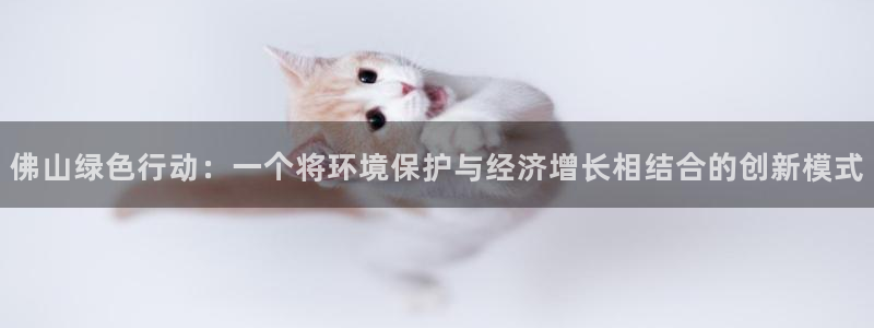 彩名堂彩：佛山绿色行动：一个将环境保