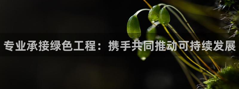 彩名堂免费计划官网购彩计划：专业承接