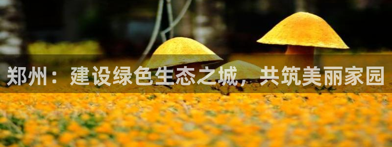 彩名堂预测软件与分析软件区别：郑州：
