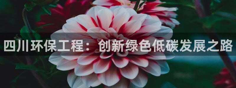 彩名堂加拿大怎么买准确率高：四川环保工程：创新绿色低碳发展之