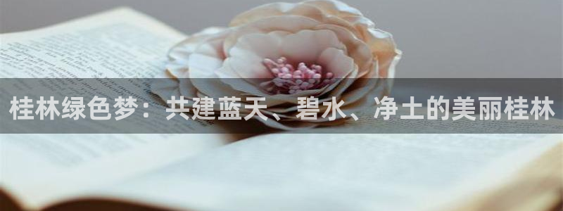 彩名堂苹果版怎么不能用了：桂林绿色梦：共建蓝天、碧水、净土的