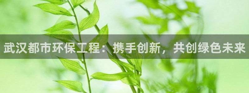 彩名堂移动客户端：武汉都市环保工程：