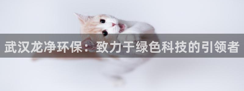 下载彩名堂预测计划软件安全吗：武汉龙