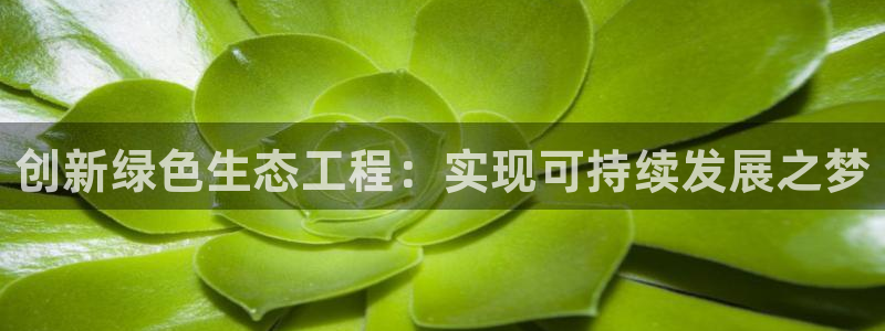彩名堂计划app新版：创新绿色生态工程：实现可持续发展之梦
