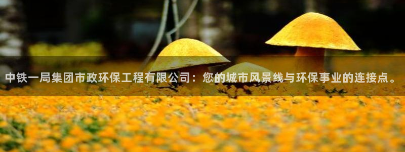 彩名堂计划怎么出的：中铁一局集团市政环保工程有限公司：您的城