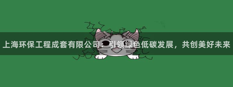 谁知道彩名堂网站是多少：上海环保工程